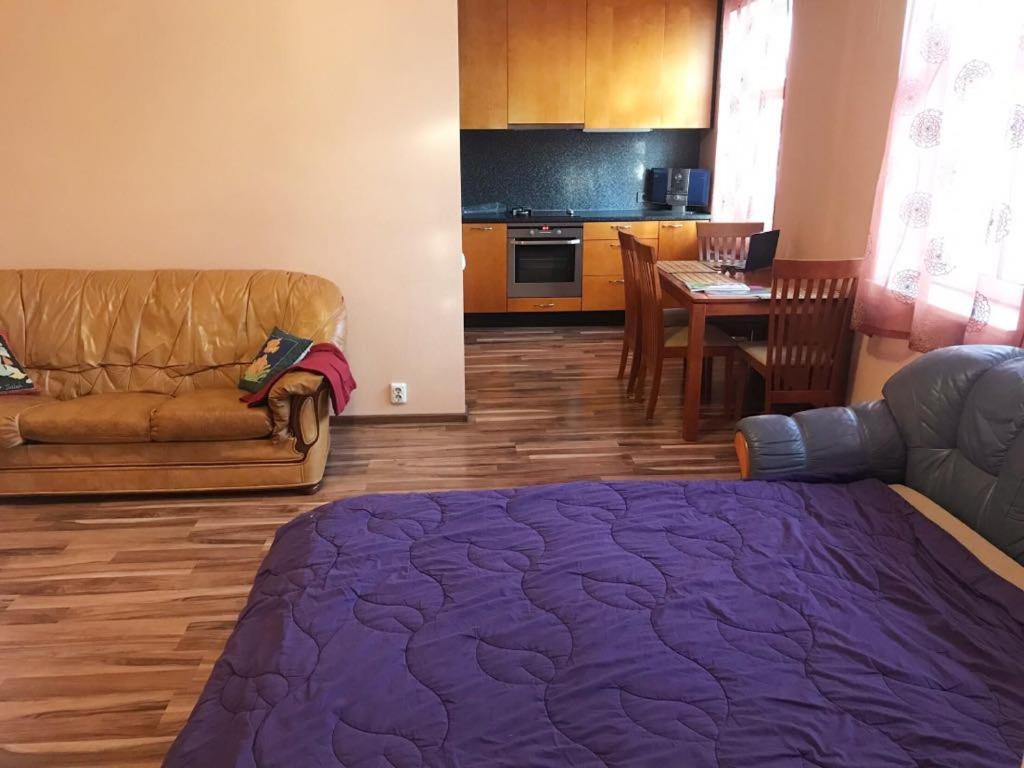 Tallinn Center Apartment Zewnętrze zdjęcie